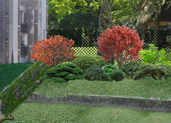 Prato di Phyla nodiflora