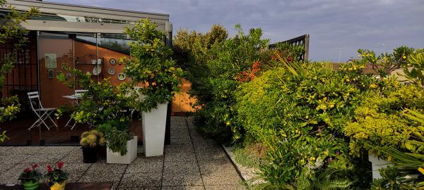 veranda nel giardino in terrazza