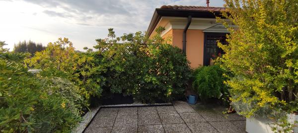 giarno maturo in terrazza