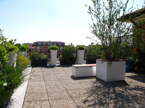 Progettazione del giardino