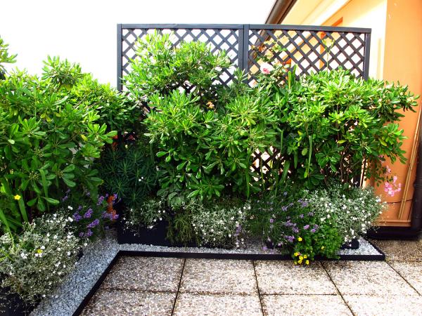 Giardino in terrazza