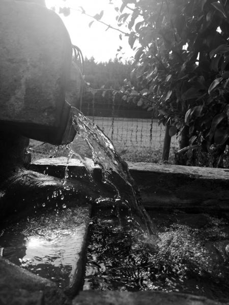 acqua in giardino