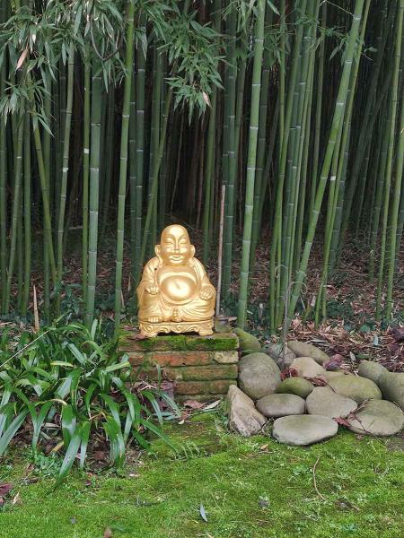 Budda nel bambù