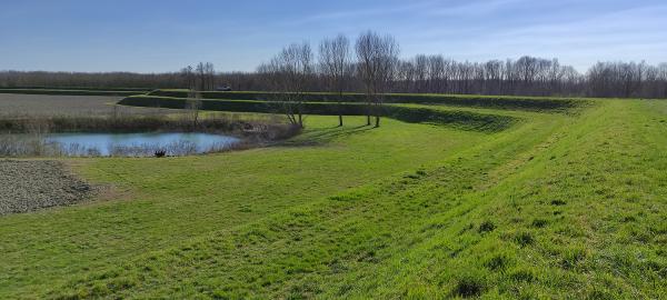 embankment-in-the-floodplai-of-Po-river
