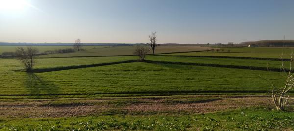green-desert-on-the-river-Po-floodplain