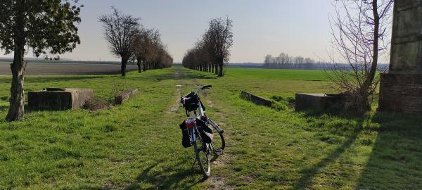 enjoying the landscape