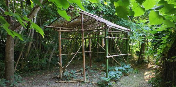 Folie nel bosco edule