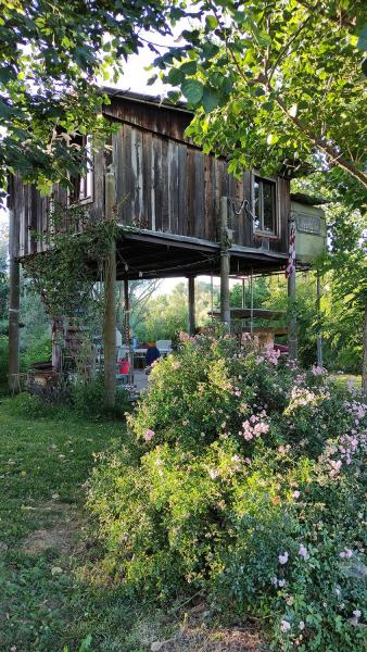Forest garden