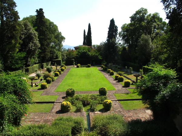 siepi e alberi frondosi