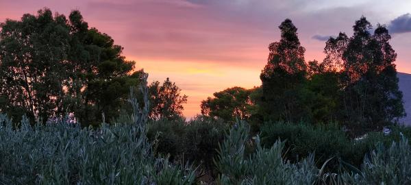 Paesaggio preso a prestito