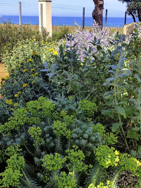 biodiversità e variabilità nel giardino naturale 