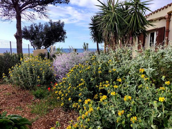 giardino naturale mediterraneo 