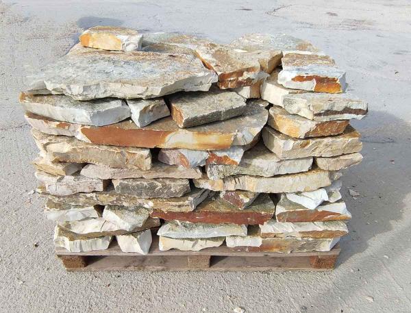 spesse basole